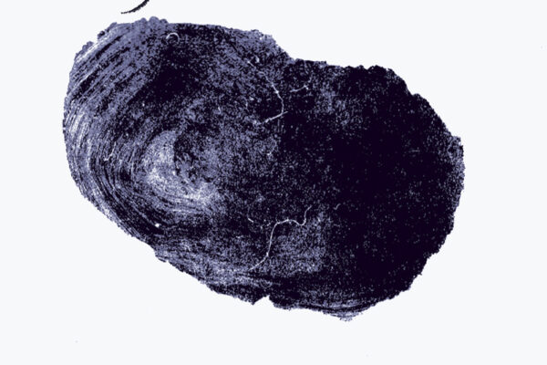 cloudseye_sito_01_021_850