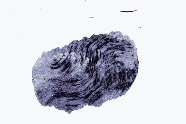 cloudseye_sito_01_1514_850